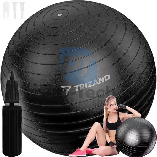 Gymnastický míč - 65 cm s pumpičkou Trizand 19182 74304